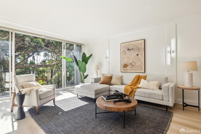 1333 Jones St Unit 508, San Francisco, CA 94109 - living area featuring light wood finished floors and floor to ceiling windows