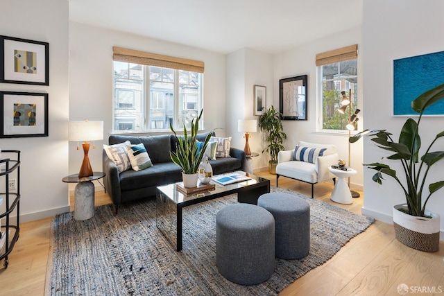 living area with light hardwood / wood-style floors and plenty of natural light