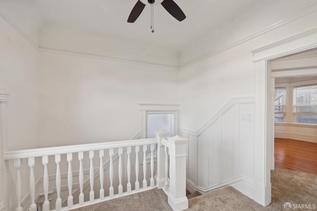 stairs featuring ceiling fan and carpet floors