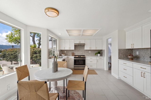 kitchen with a sink, stainless steel range oven, decorative backsplash, and white cabinetry