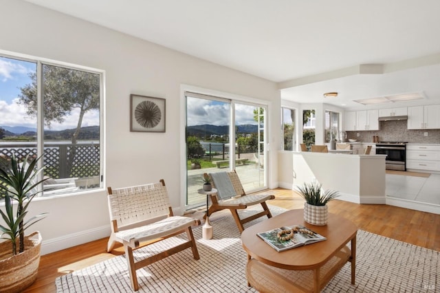 living room with a mountain view, baseboards, and light wood-style floors