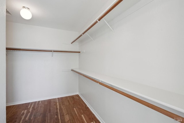 spacious closet with dark wood-type flooring