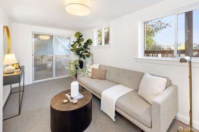 living room with carpet flooring