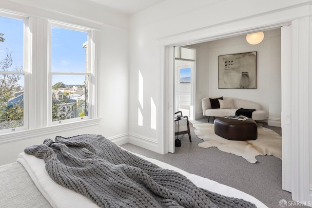 bedroom with carpet