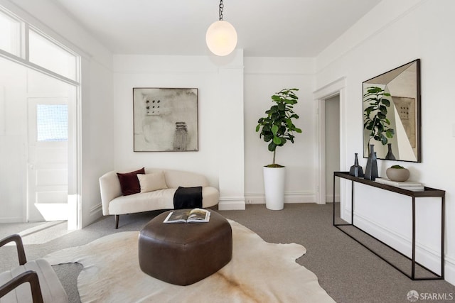 living area featuring carpet flooring