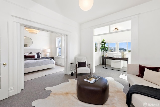 bedroom featuring carpet flooring