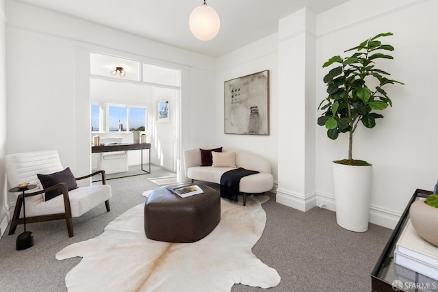 living area with carpet floors