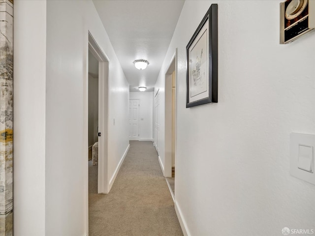 2790 19th Ave Unit 21, San Francisco, CA 94132 - hallway with light colored carpet and baseboards