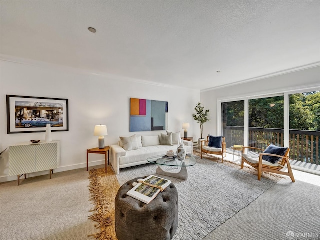 2790 19th Ave Unit 21, San Francisco, CA 94132 - living room featuring radiator, crown molding, and carpet floors