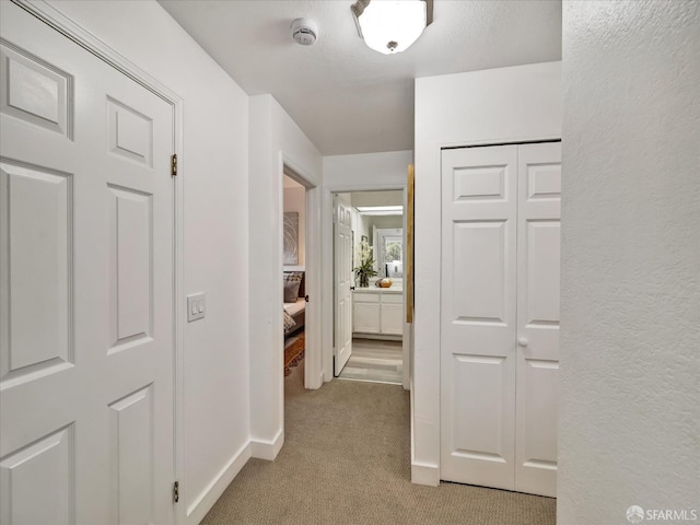 2790 19th Ave Unit 21, San Francisco, CA 94132 - hallway featuring light colored carpet and baseboards