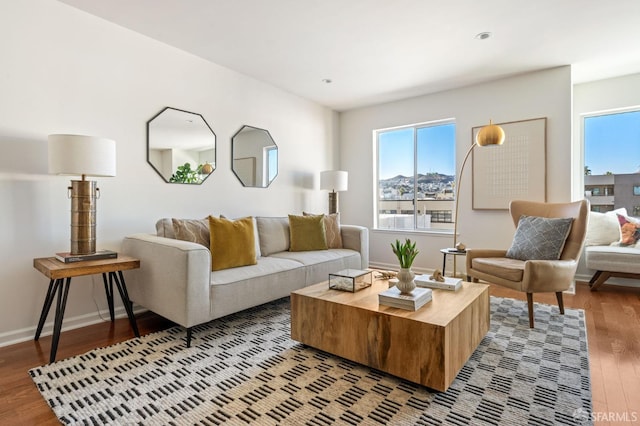 living room featuring hardwood / wood-style floors