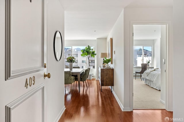 hall featuring hardwood / wood-style flooring