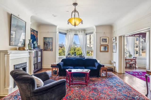 living room with hardwood / wood-style floors