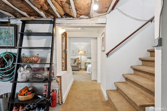 50 Perine Pl, San Francisco, CA 94115 - unfinished below grade area with carpet and stairs