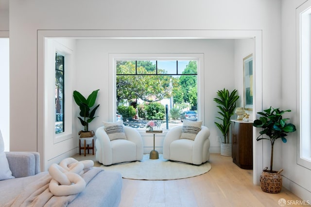 living area with wood finished floors