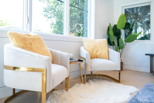 sitting room featuring wood finished floors and a wealth of natural light