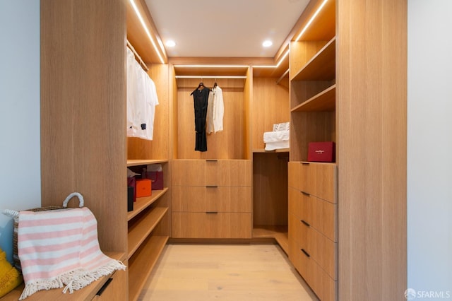 spacious closet featuring light wood-style floors