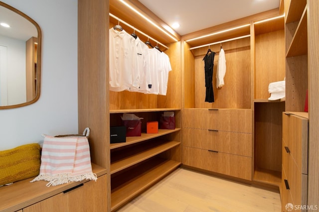 spacious closet featuring light wood-type flooring