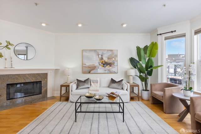 4471 Mission St Unit 2, San Francisco, CA 94112 - living area featuring wood finished floors, crown molding, a high end fireplace, and baseboards