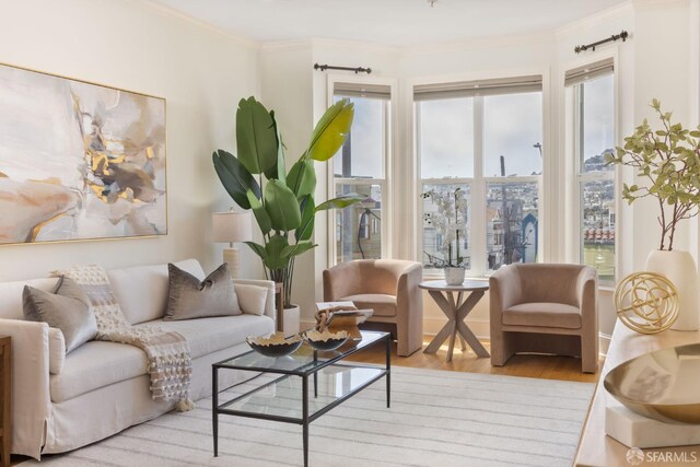 4471 Mission St Unit 2, San Francisco, CA 94112 - living room featuring ornamental molding and wood finished floors