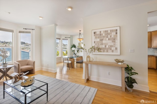 4471 Mission St Unit 2, San Francisco, CA 94112 - living room featuring light wood-style floors, baseboards, and crown molding