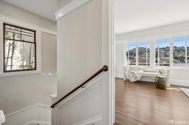 staircase with a mountain view and hardwood / wood-style floors