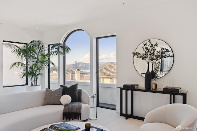 living room with a mountain view and light hardwood / wood-style flooring