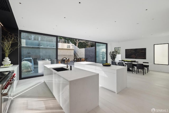 living room with expansive windows, sink, and light hardwood / wood-style flooring