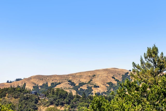 126 Ridge Rd, Fairfax, CA 94930 - photo 20