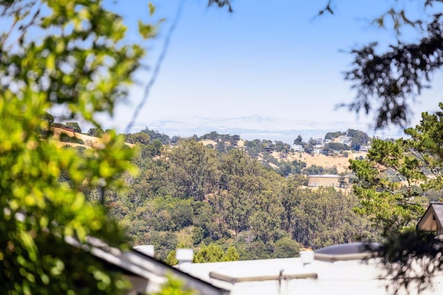 126 Ridge Rd, Fairfax, CA 94930 - photo 49