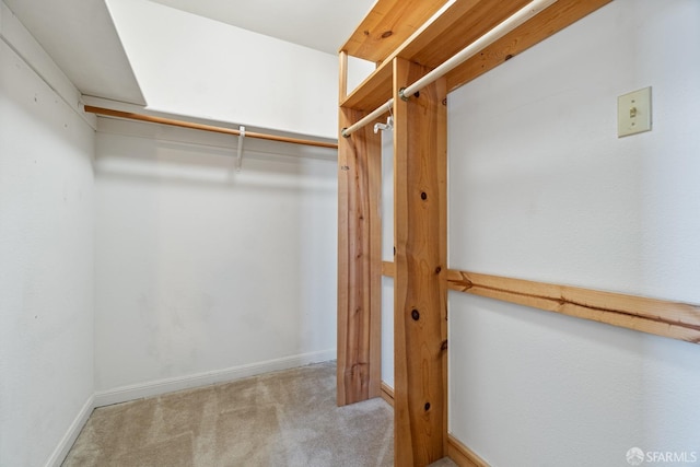 spacious closet featuring light colored carpet