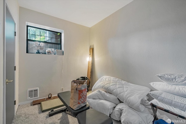 interior space with light carpet, visible vents, and baseboards