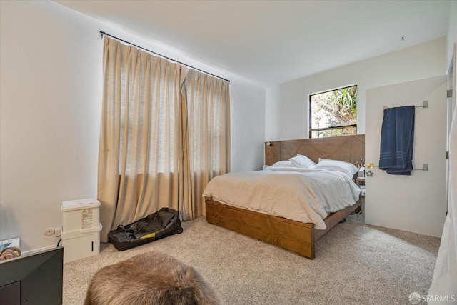 bedroom featuring carpet flooring