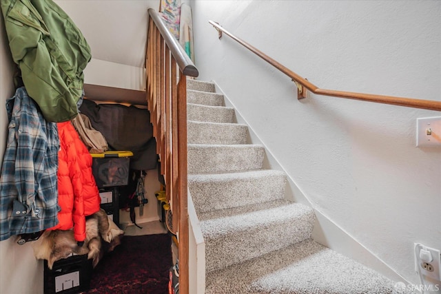 stairway with carpet flooring