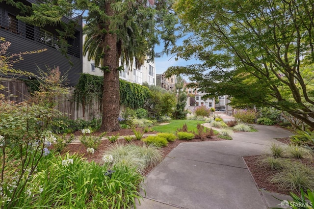 2060 Sutter St Unit 405, San Francisco, CA 94115 - photo 60