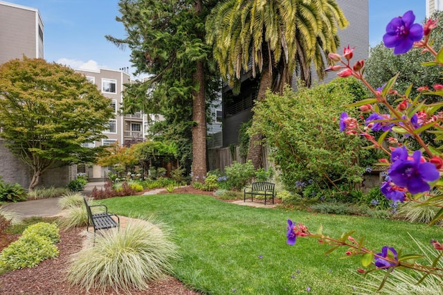 2060 Sutter St Unit 405, San Francisco, CA 94115 - photo 58