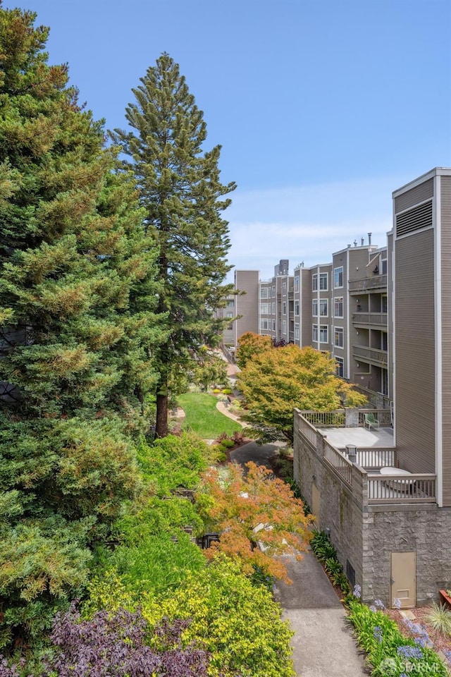 2060 Sutter St Unit 405, San Francisco, CA 94115 - photo 19
