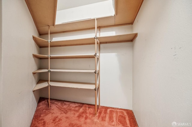 2060 Sutter St Unit 405, San Francisco, CA 94115 - photo 52