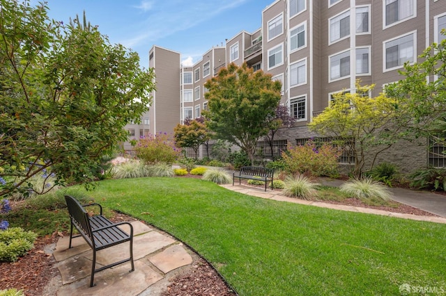 2060 Sutter St Unit 405, San Francisco, CA 94115 - photo 59