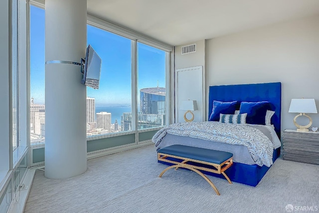 carpeted bedroom with multiple windows