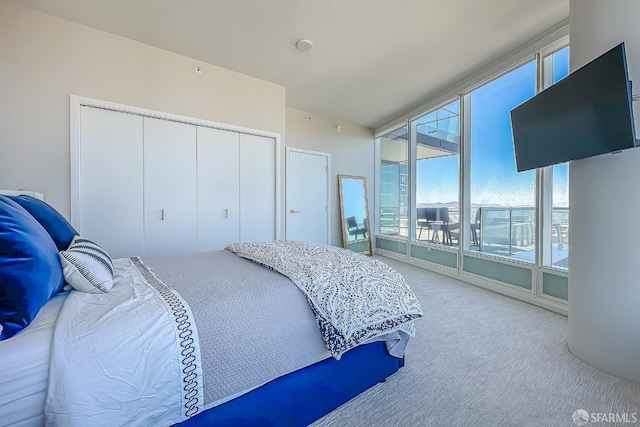 carpeted bedroom with a closet