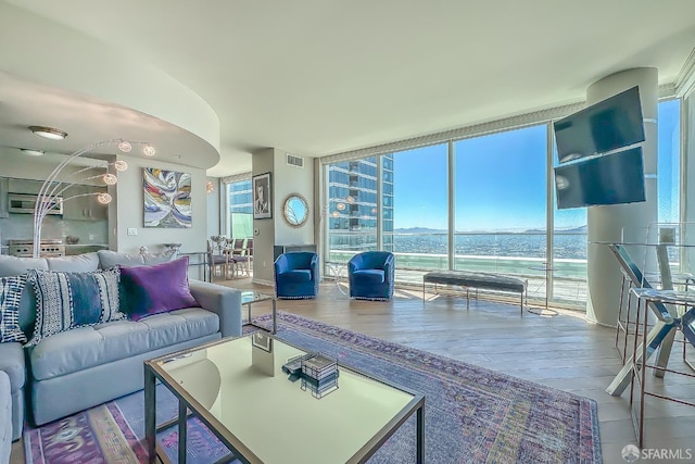 living room featuring floor to ceiling windows and wood-type flooring