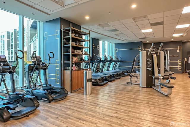 gym with hardwood / wood-style flooring, a wealth of natural light, expansive windows, and a paneled ceiling