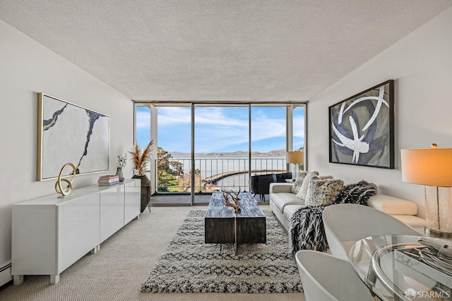 living room with expansive windows, a baseboard heating unit, a textured ceiling, and light carpet