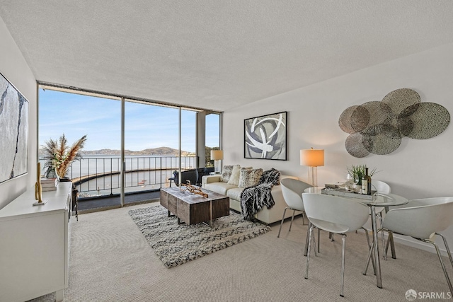 living room with a textured ceiling, carpet floors, and floor to ceiling windows