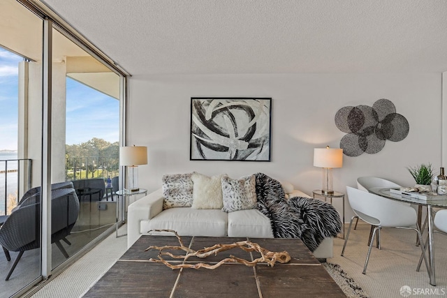 carpeted living room featuring a textured ceiling and floor to ceiling windows