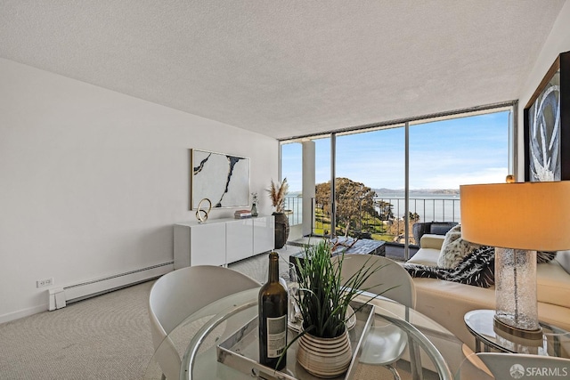 interior space featuring a textured ceiling, carpet flooring, baseboards, baseboard heating, and floor to ceiling windows