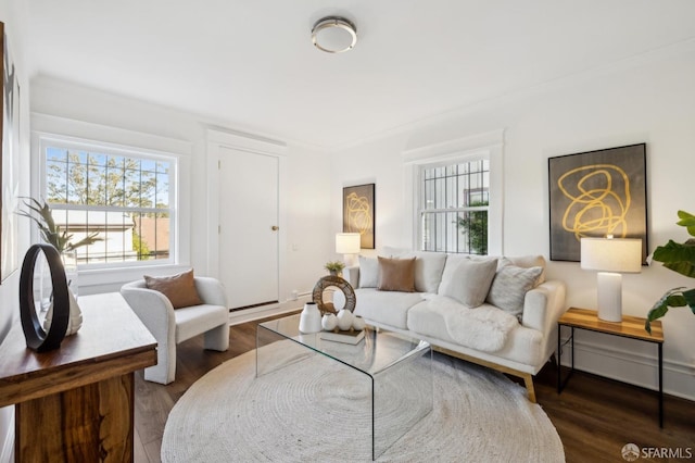 living room featuring hardwood / wood-style flooring