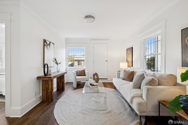 living room featuring crown molding and dark hardwood / wood-style floors