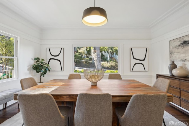 dining area with ornamental molding, a healthy amount of sunlight, and dark wood-type flooring